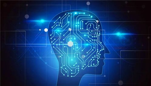 計(jì)算機(jī)軟件開(kāi)發(fā) 政策東風(fēng)下的熱門之選與未來(lái)展望